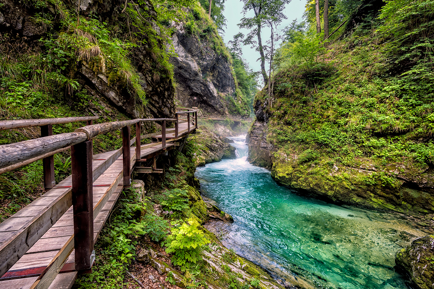 Visiter Ljubljana : Gorges de Vintgar