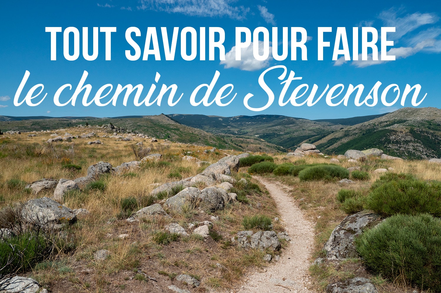 You are currently viewing Comment préparer le chemin de Stevenson